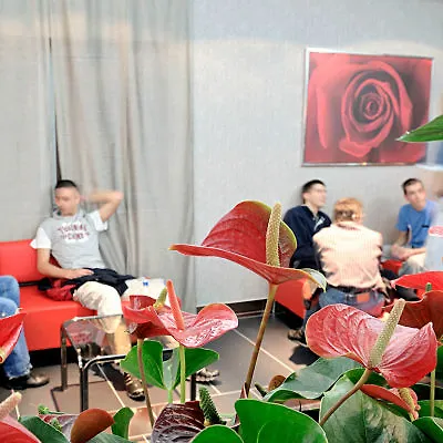 Hello Hotels Bucuresti Gara De Nord 2*, Bucharest